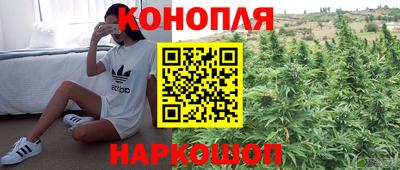 PSILOCYBIN Ставрополь