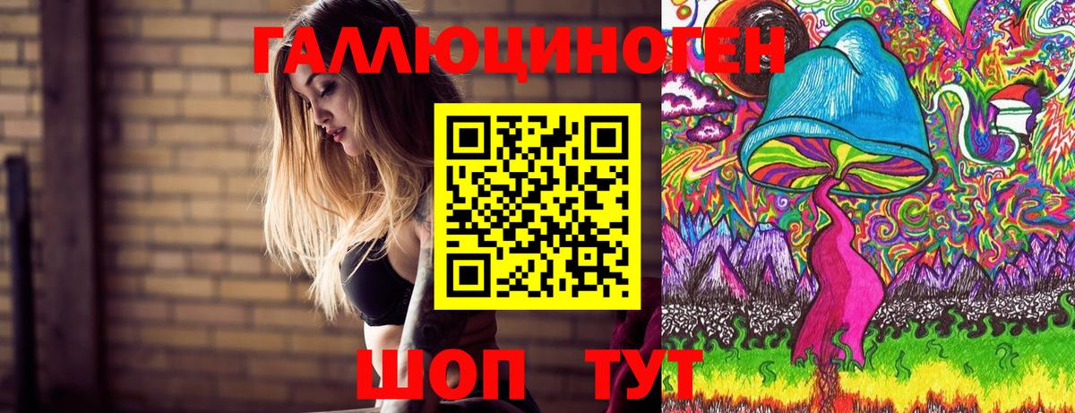 Псилоцибиновые грибы Psilocybine cubensis  Вход с VPN  хочу   Псилоцибиновые грибы Psilocybe  Новозыбков 