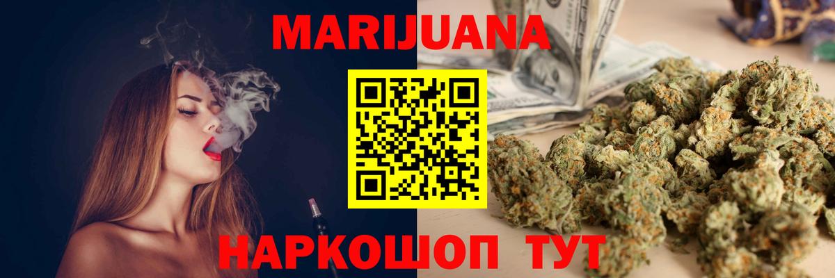 Канабис сатива Новозыбков