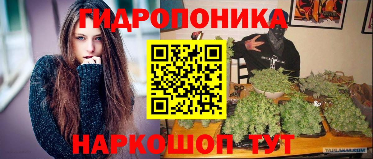 Конопля OG Kush  МАРИХУАНА планчик  Вход с VPN  Новозыбков 